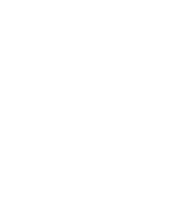 logo imagotipo vertical rpsat negativo
